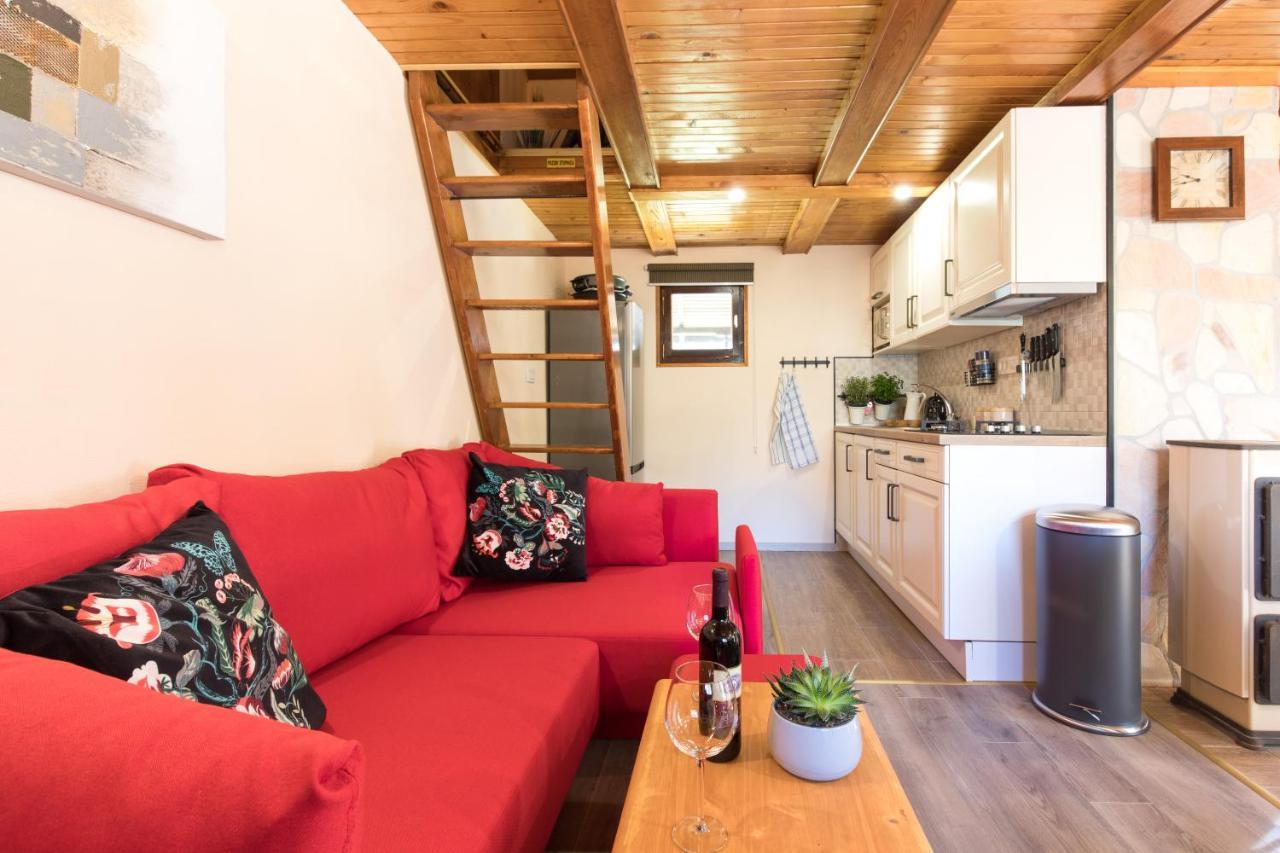Vila Rozi, Osilnica - Vacation House Pr' Vili Rozi Extérieur photo