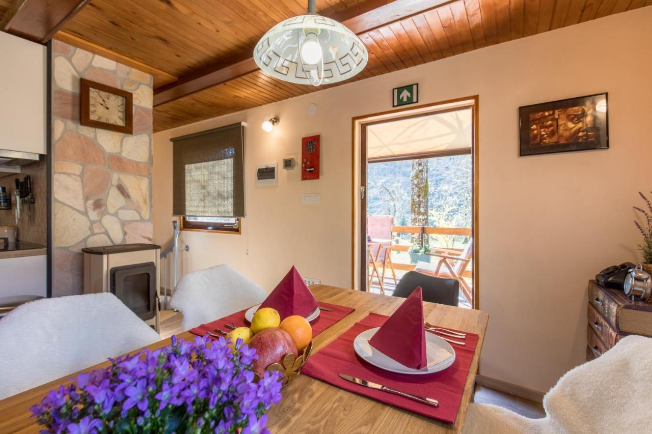 Vila Rozi, Osilnica - Vacation House Pr' Vili Rozi Extérieur photo