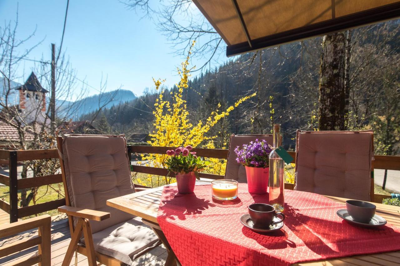 Vila Rozi, Osilnica - Vacation House Pr' Vili Rozi Extérieur photo