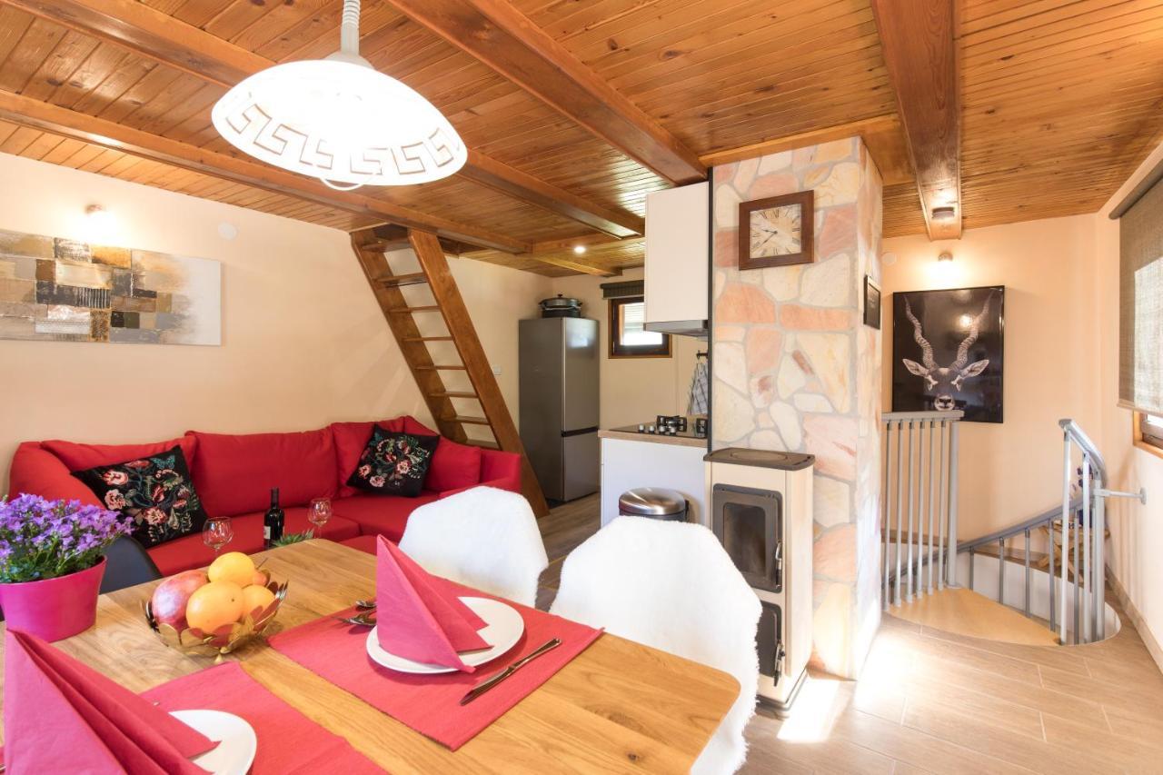 Vila Rozi, Osilnica - Vacation House Pr' Vili Rozi Extérieur photo