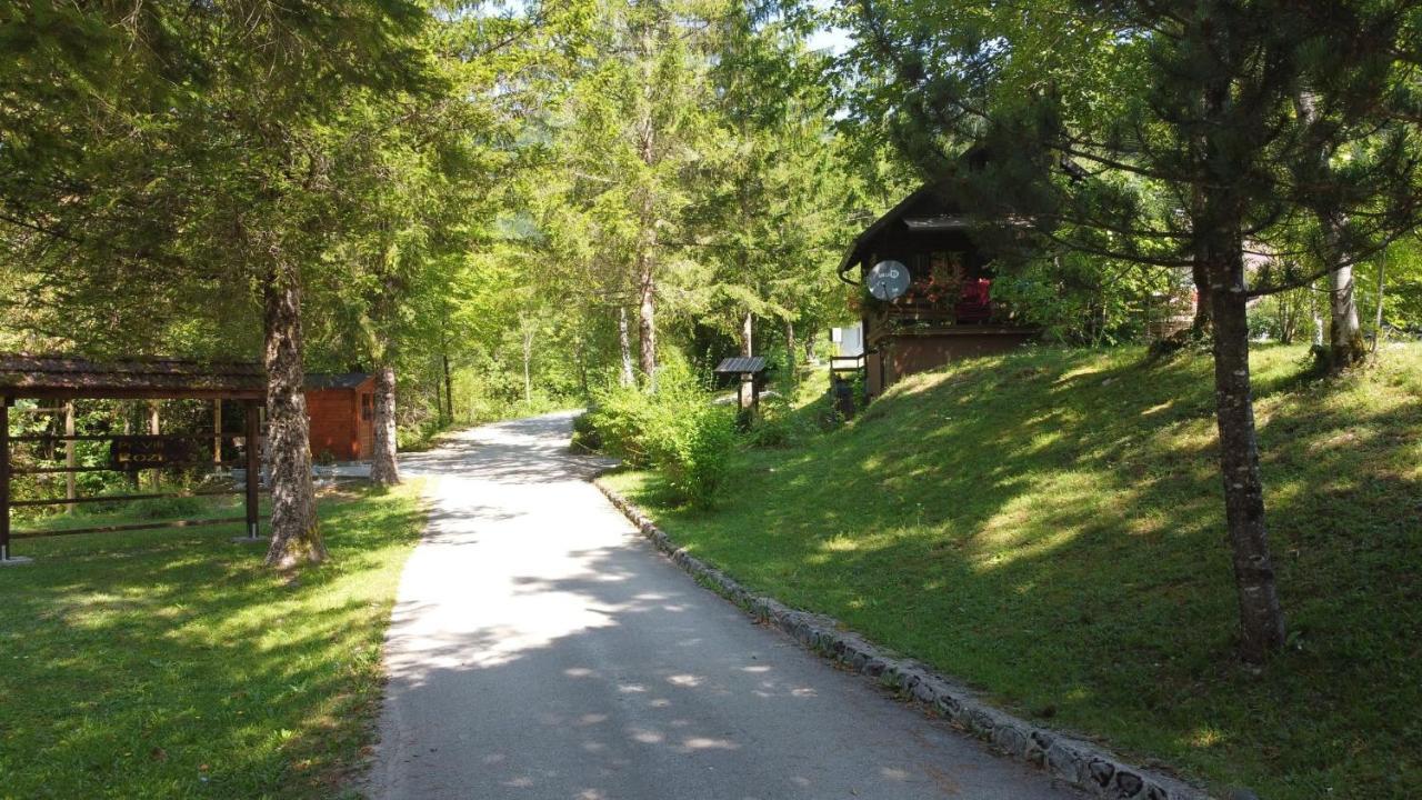 Vila Rozi, Osilnica - Vacation House Pr' Vili Rozi Extérieur photo